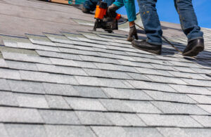 Roof Shingles