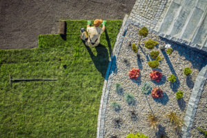 landscaping